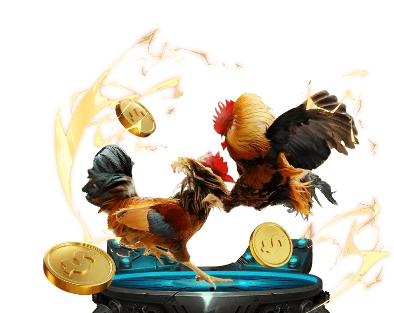 VF55 an toàn và đáng tin cậy